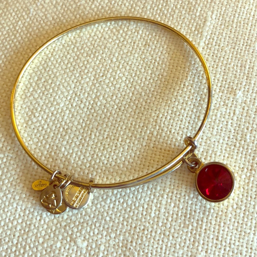 Alex and Ani Bracelet- January BirthStone